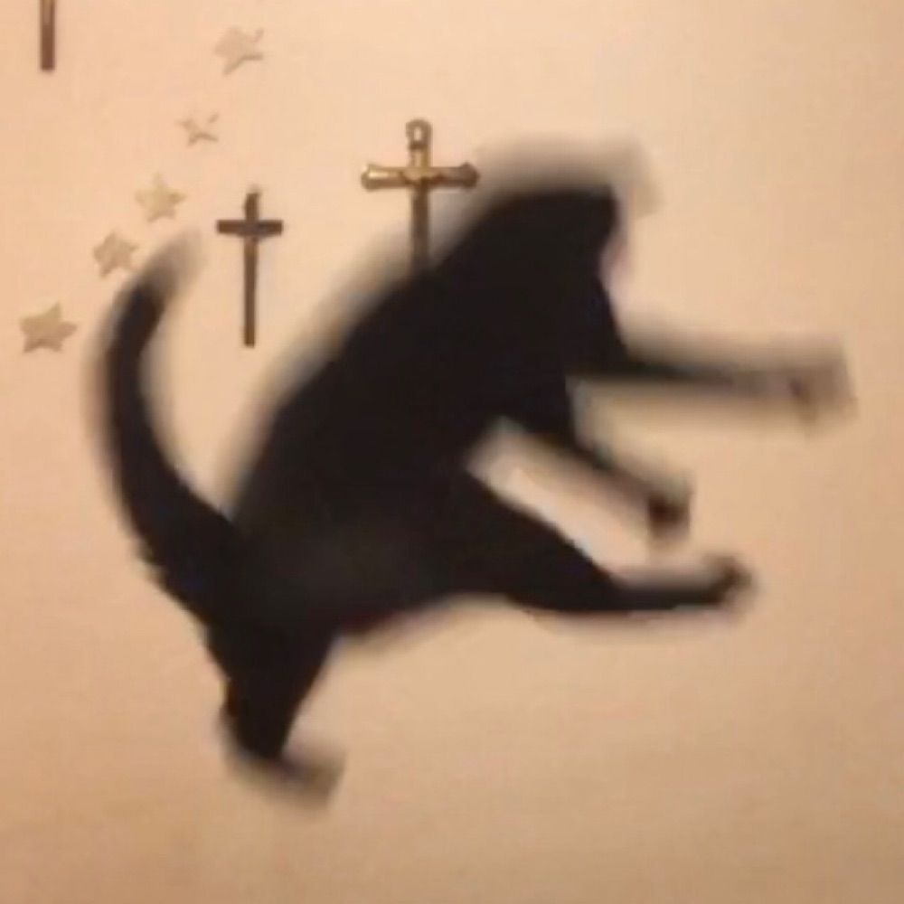 policier rebel aux méthodes peu orthodoxes