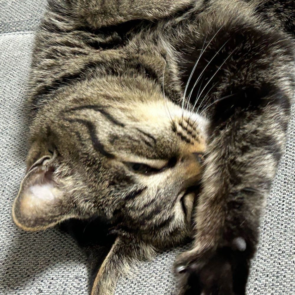 ほのか