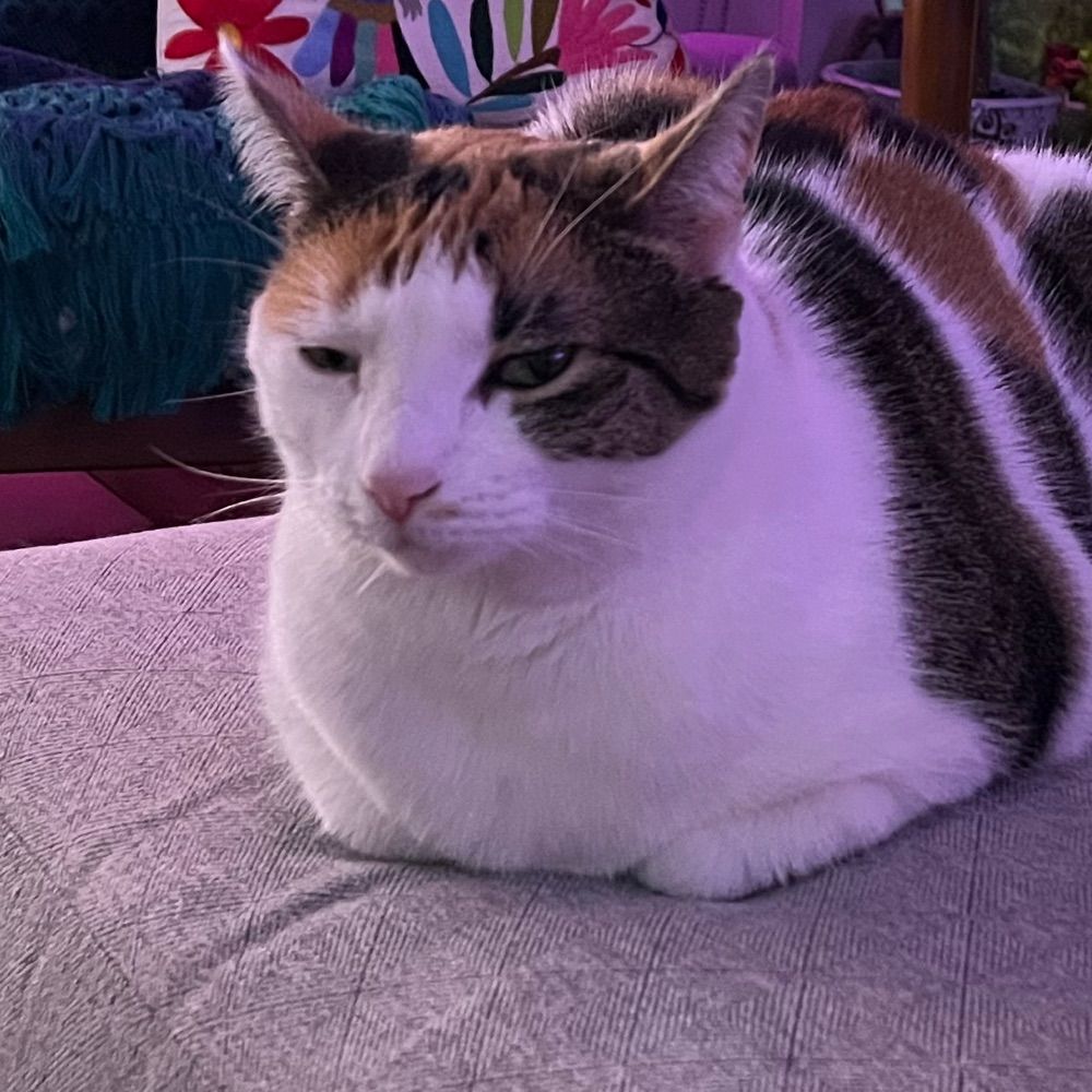 Fuzzylemon