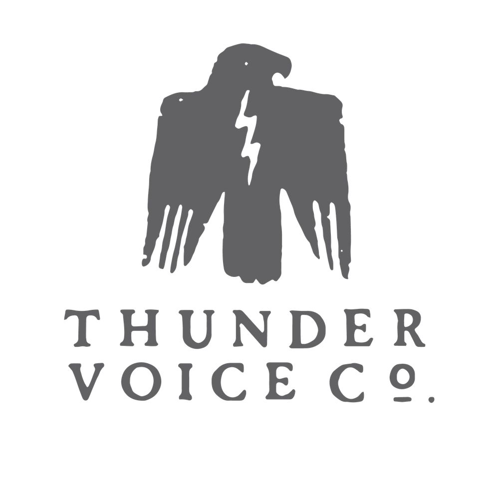 Thunder Voice Co