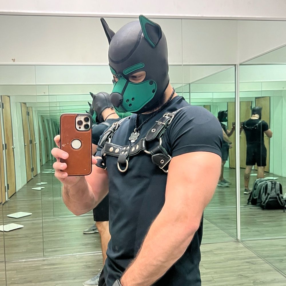 Pup Hazel; Goer of Gyms