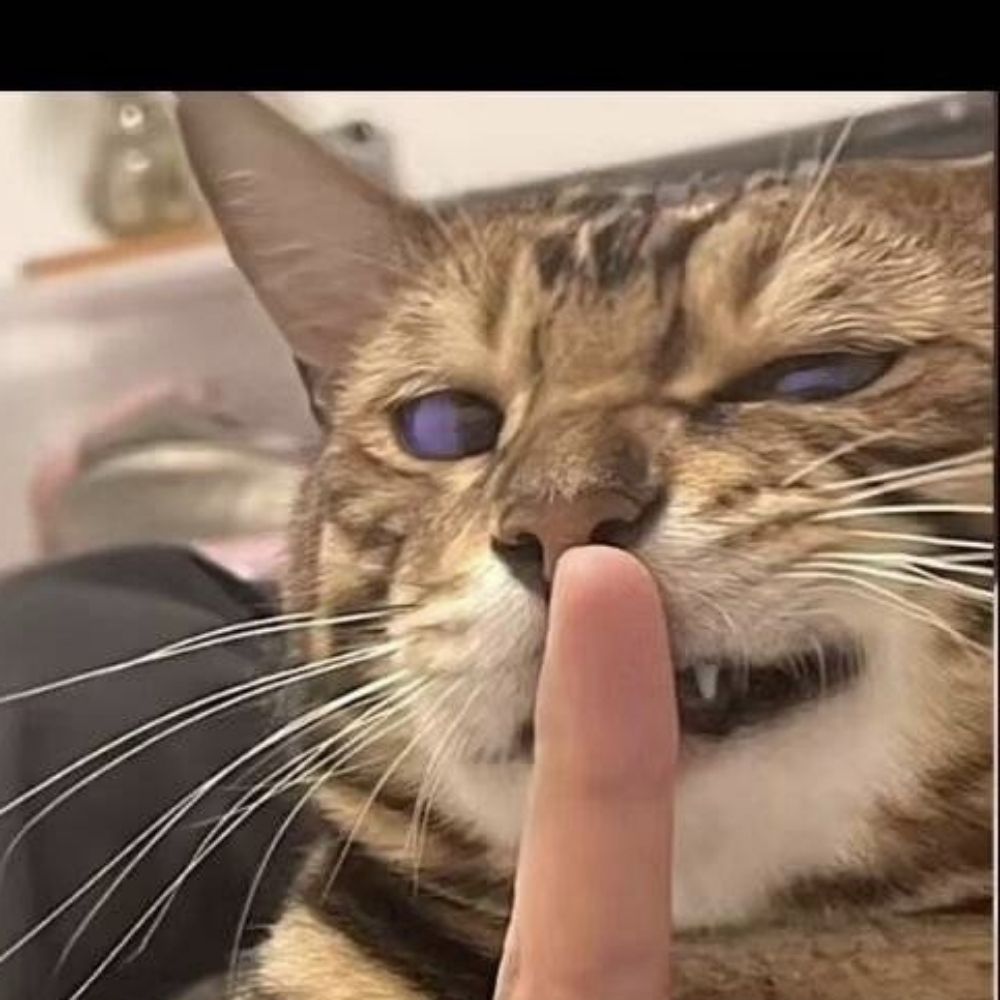 噗