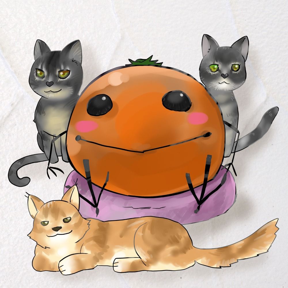 ミカッソ