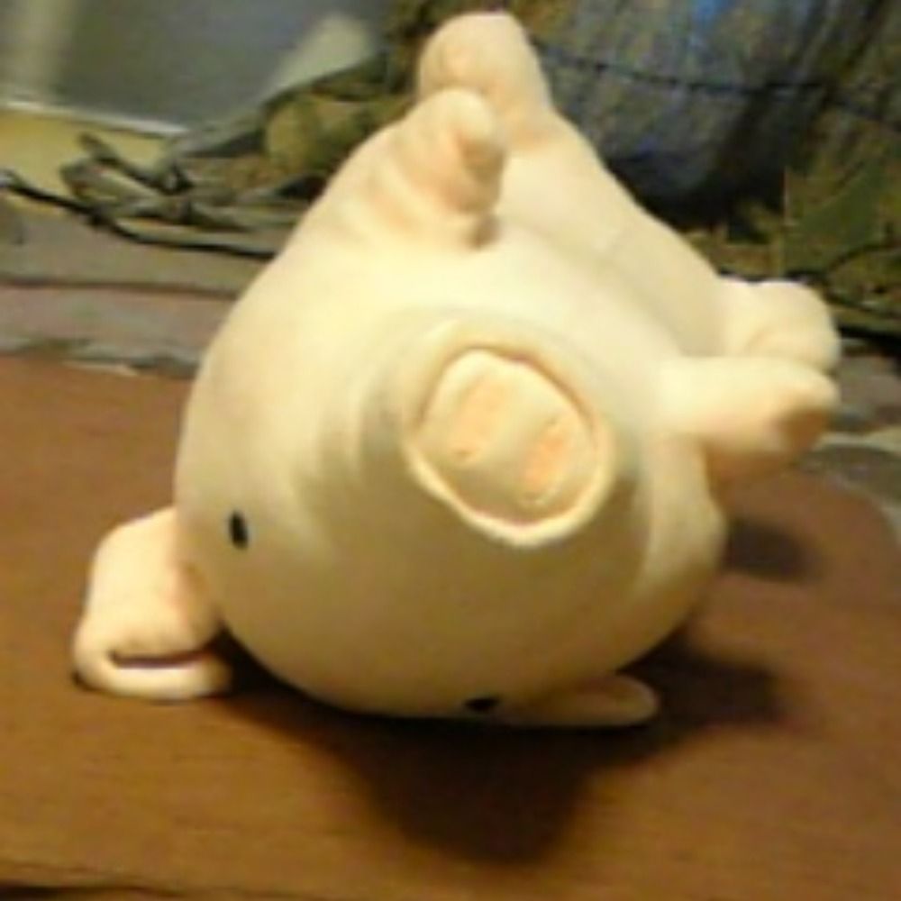 立野昧