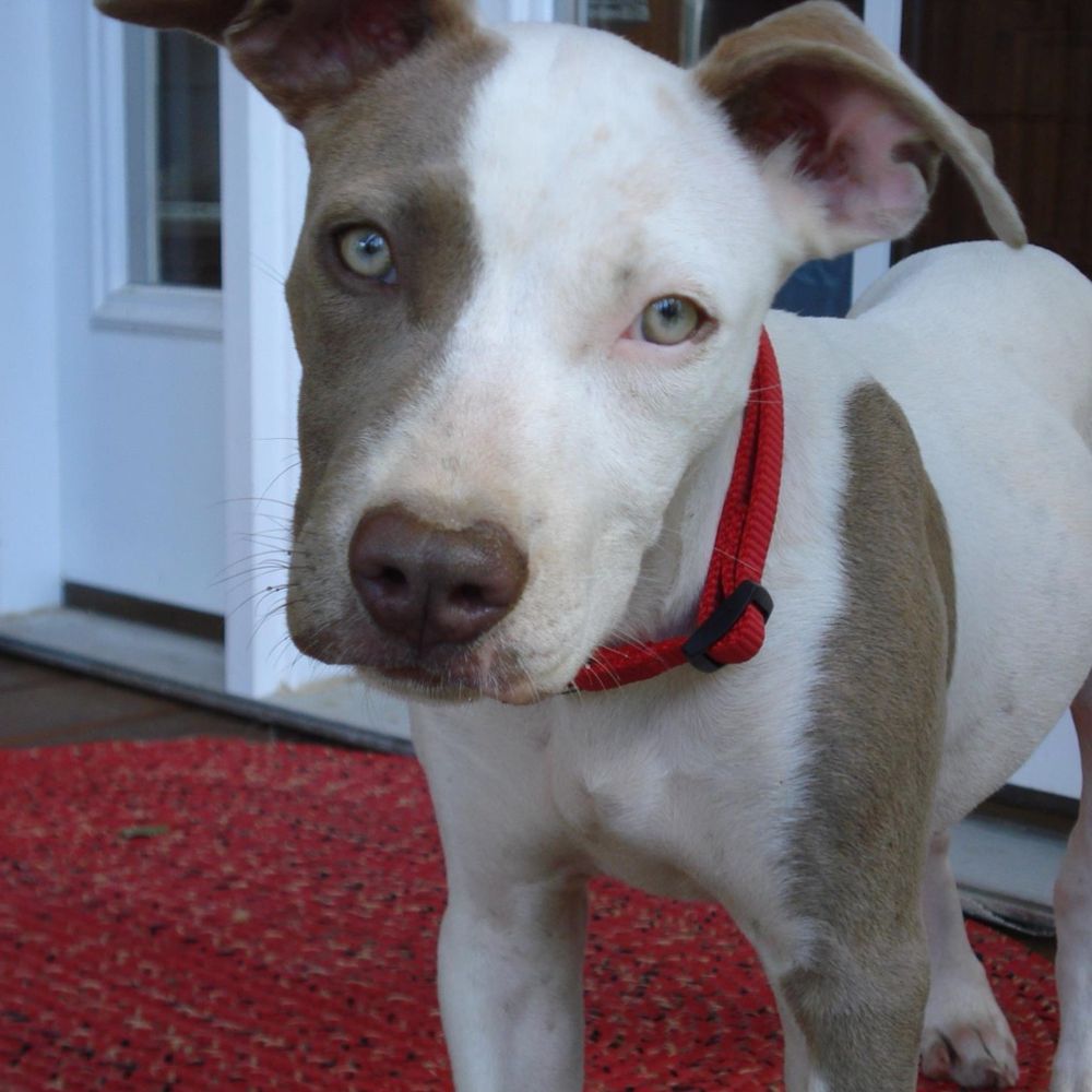 (Mom to Molly-Girl)