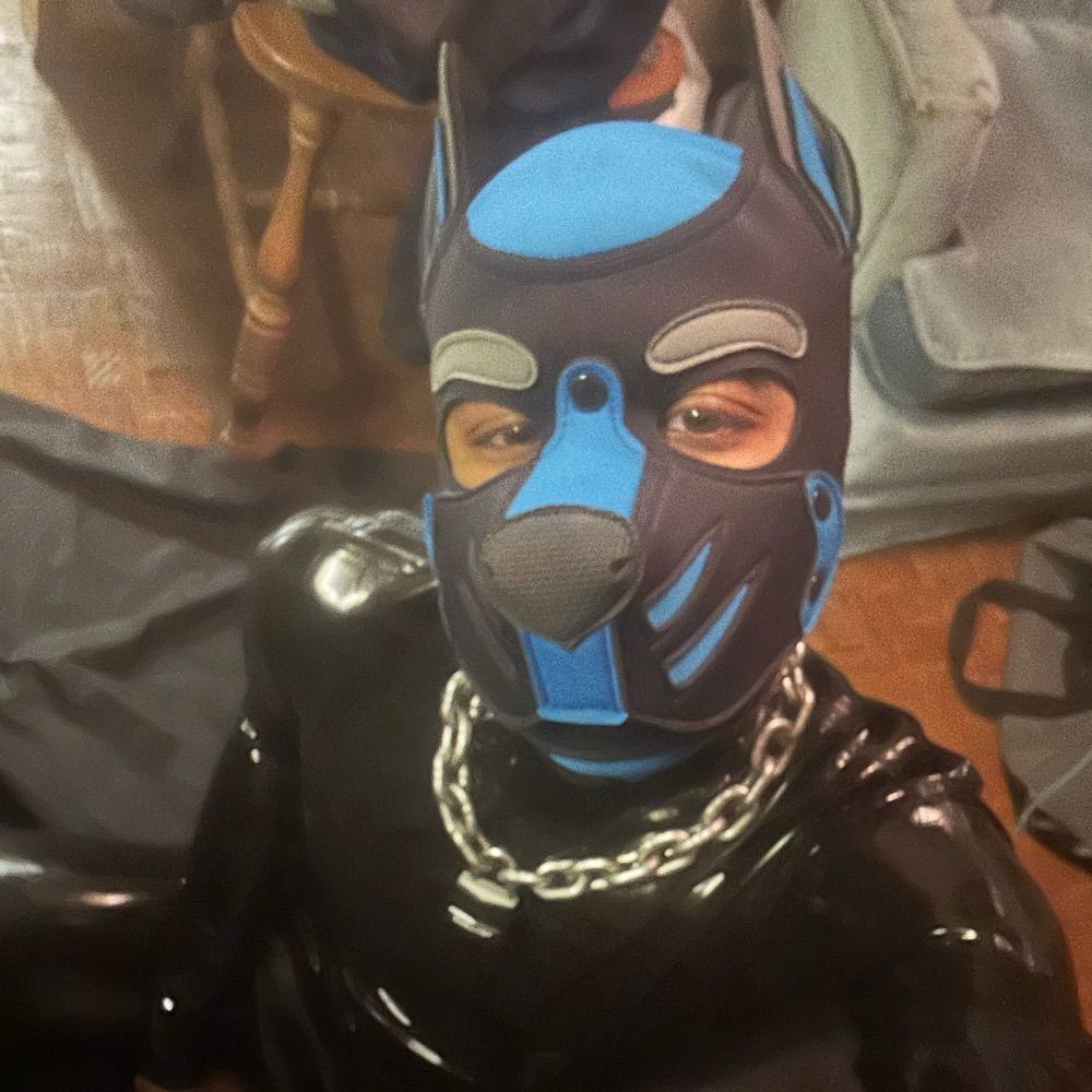 Pup Nash