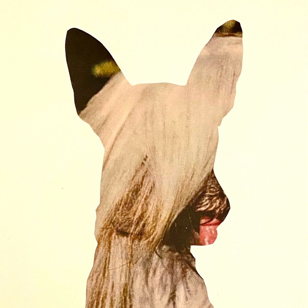 Sam Carr-Prindle