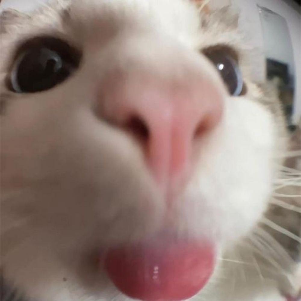 Sam