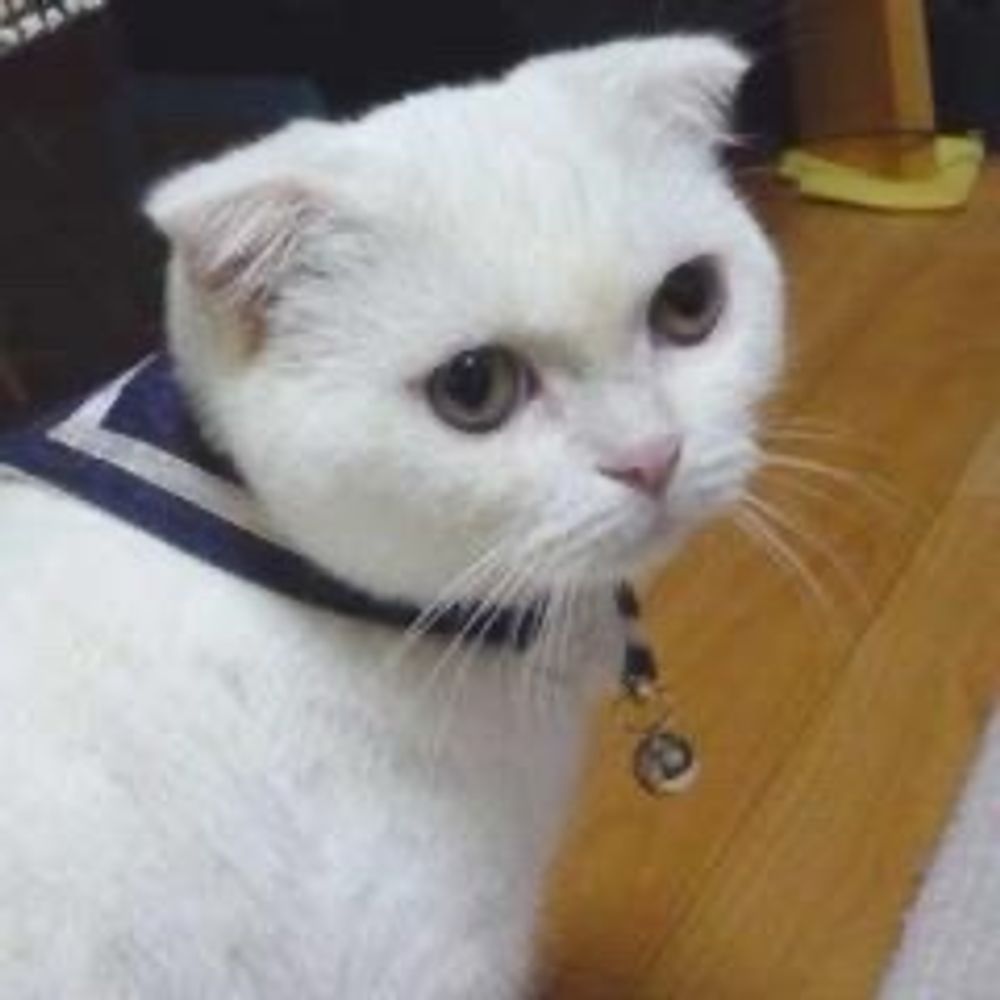 ななみ