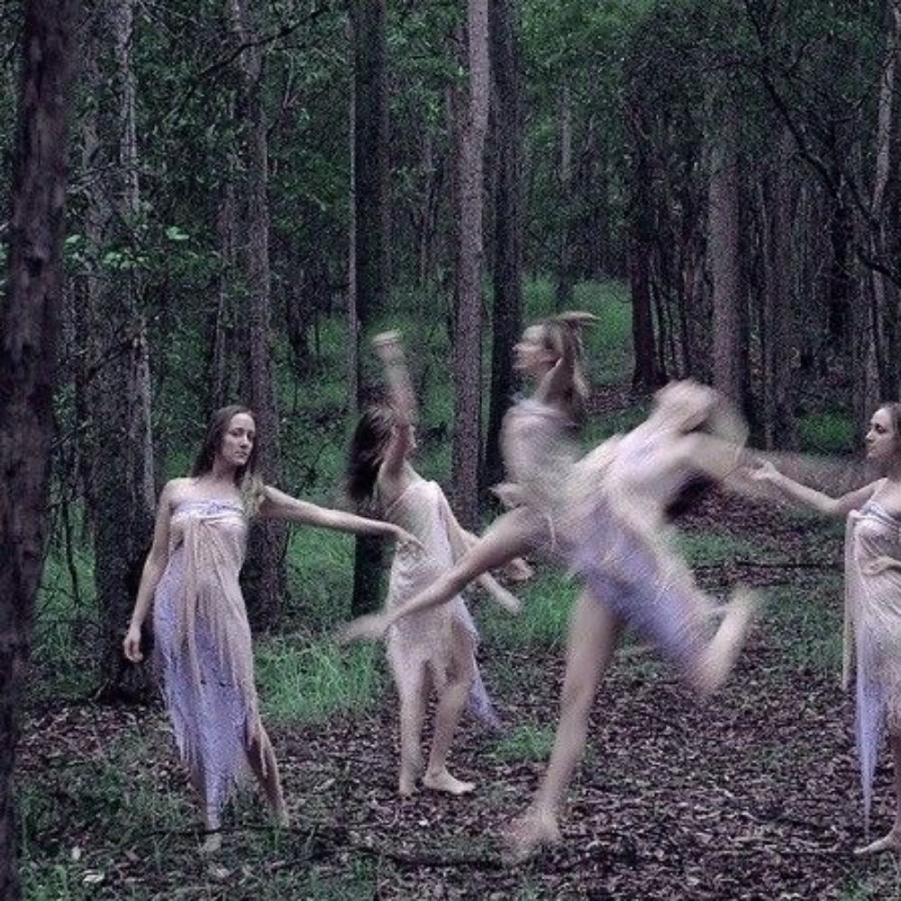 veera/sky/laine