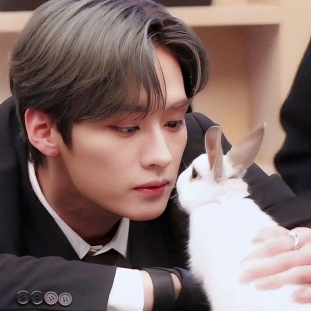 Lee Know as a rabbit 🐇💚🩷 VAI VER O SKZ