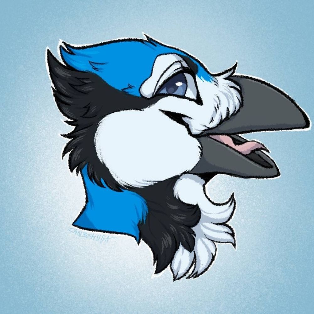 Baldwin Bluejay