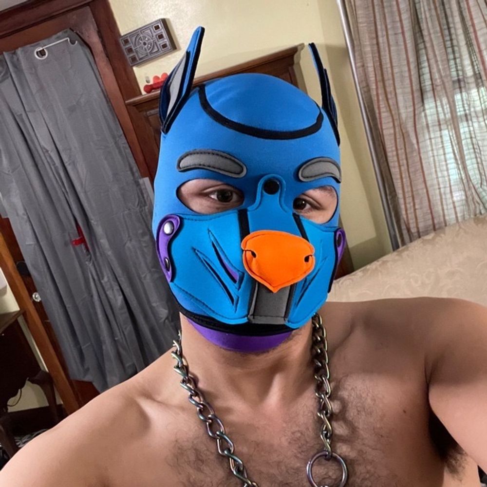Pup Kratos