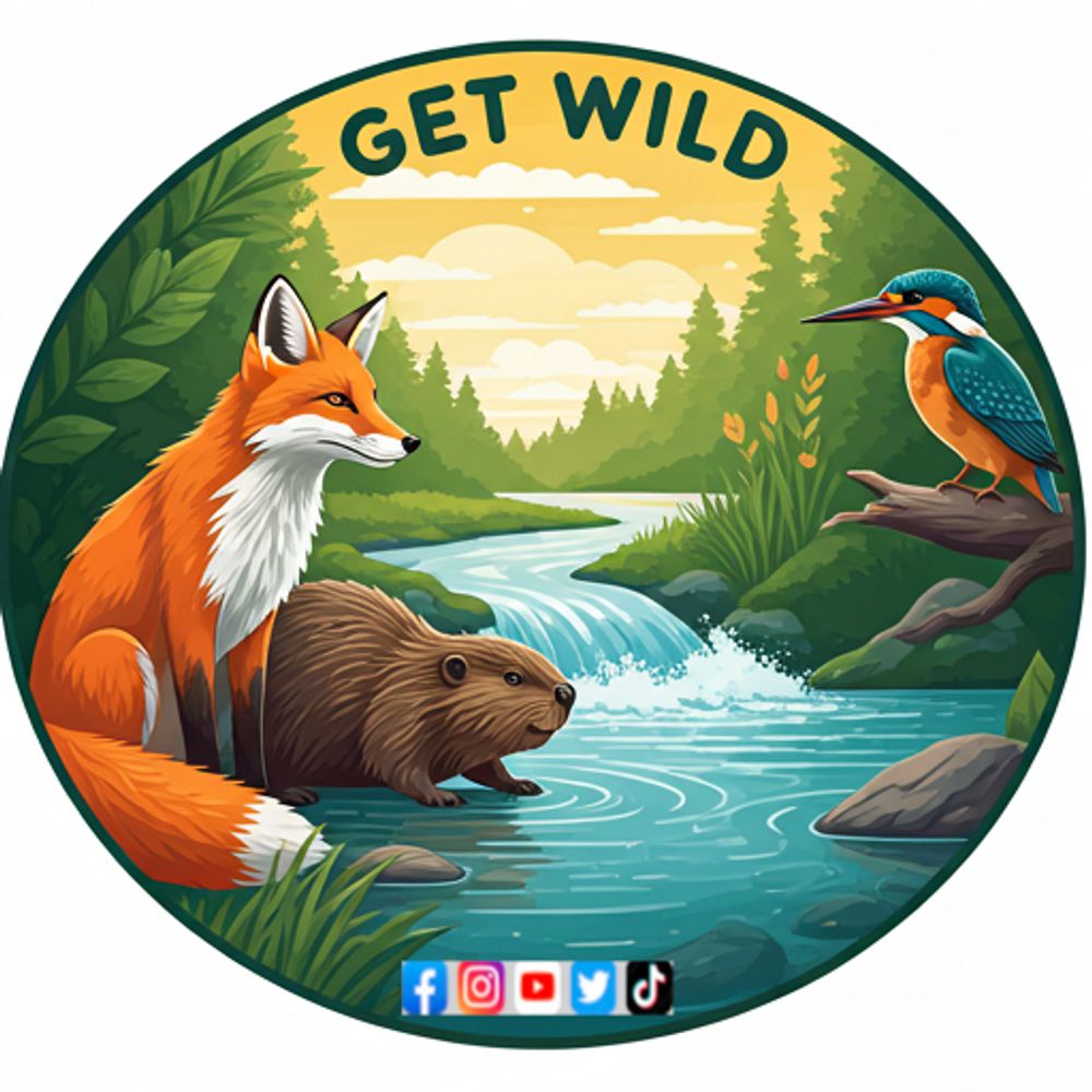 Get Wild