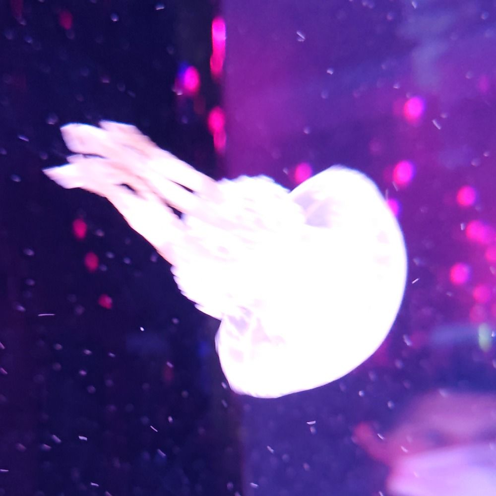♨️