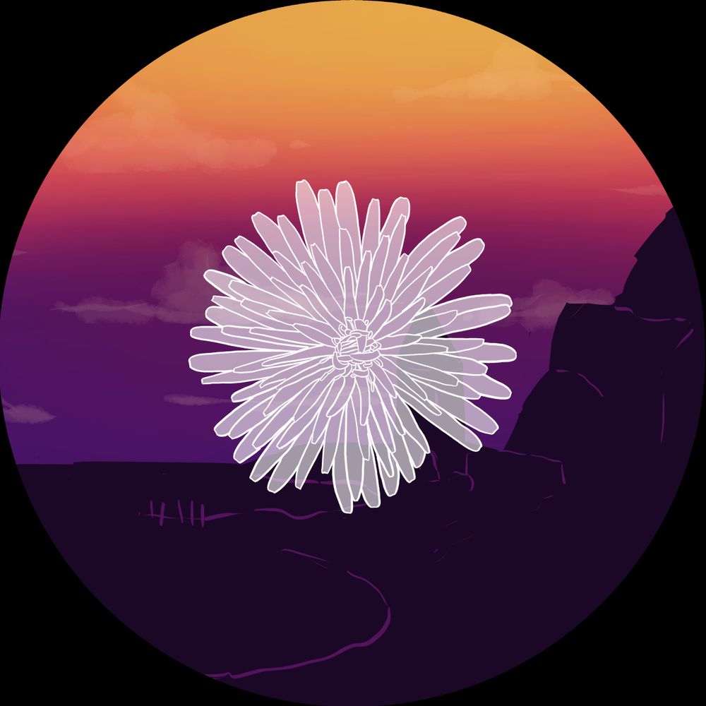 Dandelion Zine
