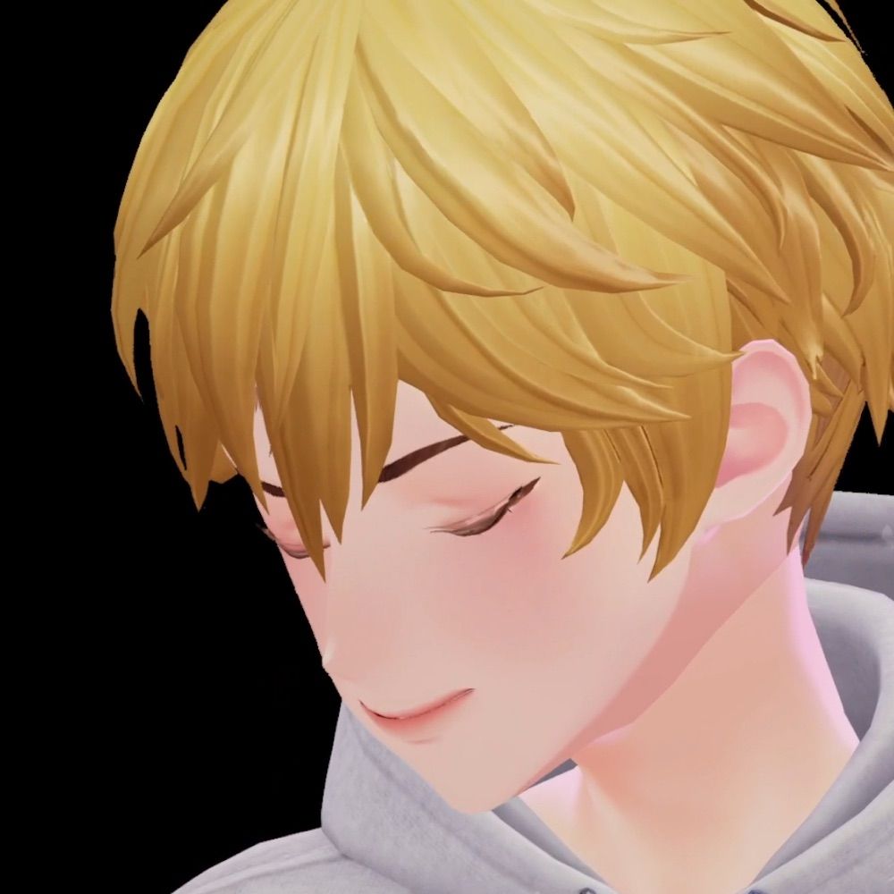 Sunkissed☀️ 金夕阳:VTuber