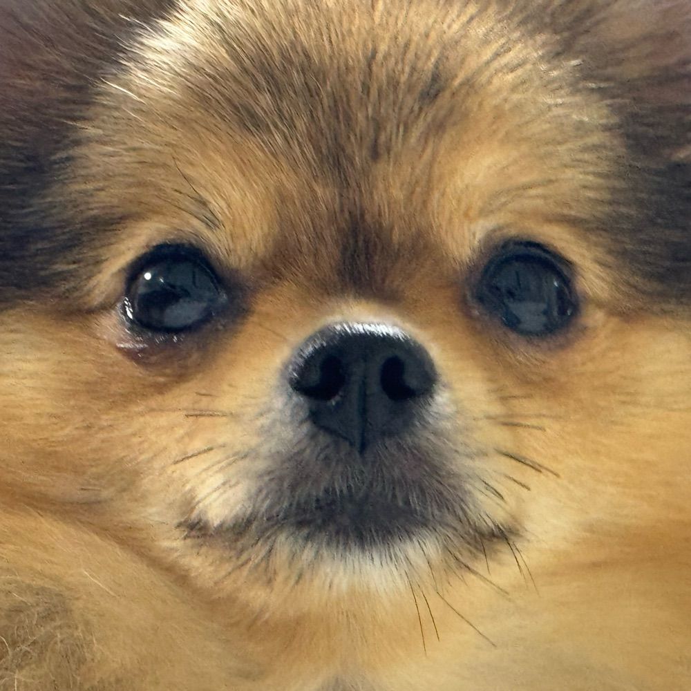どうでもええわ