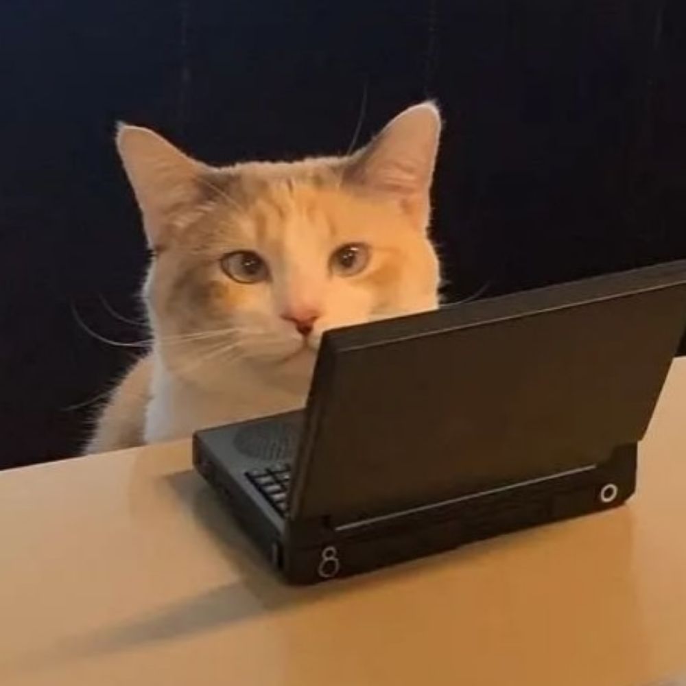Mae Day