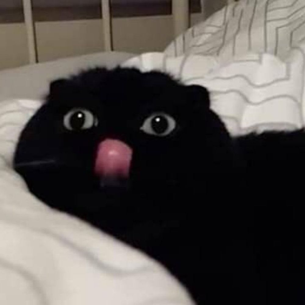 매실