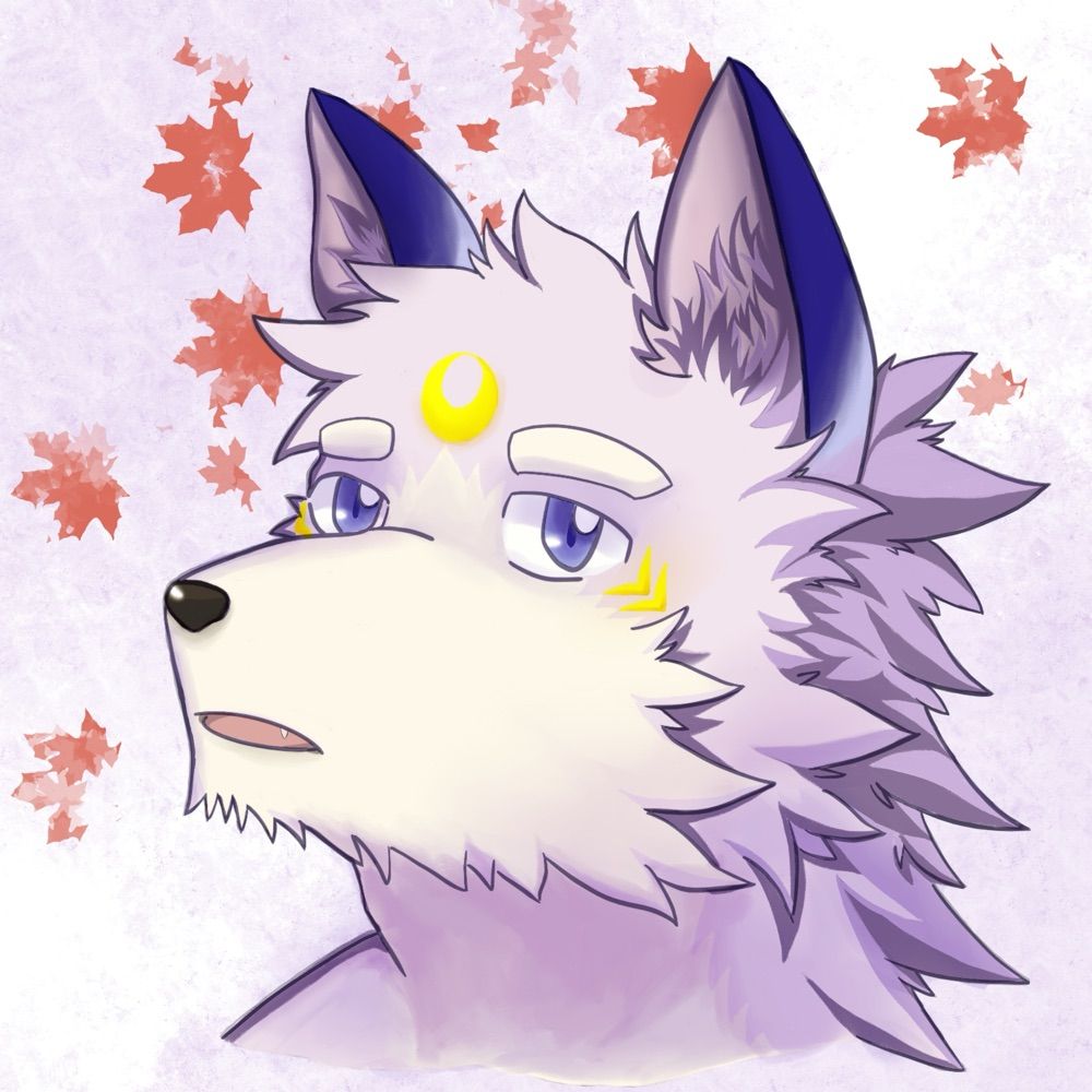 澈央_Gloire