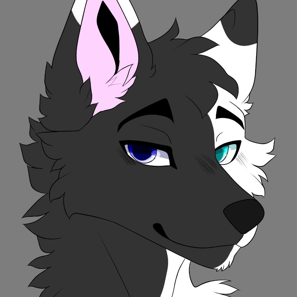 Solis The Wolffo 🔜AnthroCon 's avatar