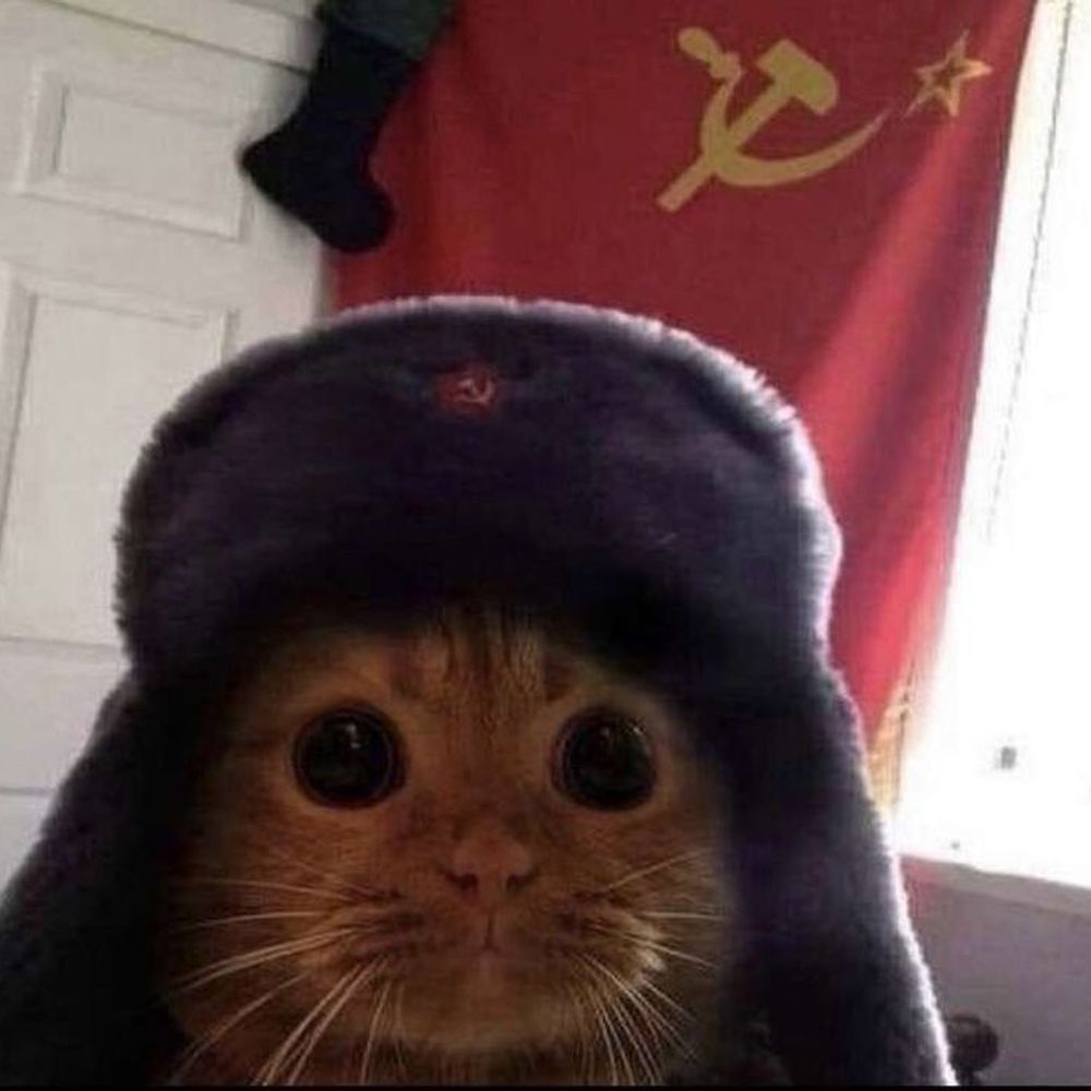 COMMUNIST CAT (V0)