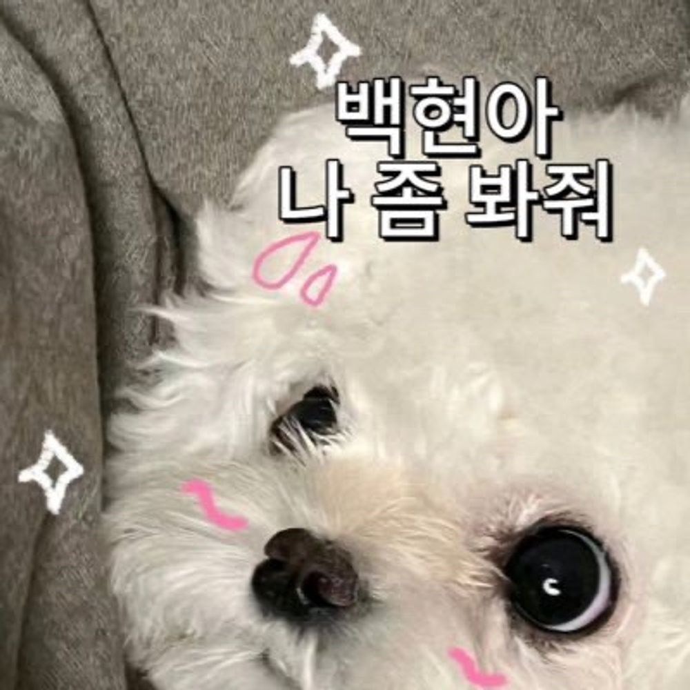 유유