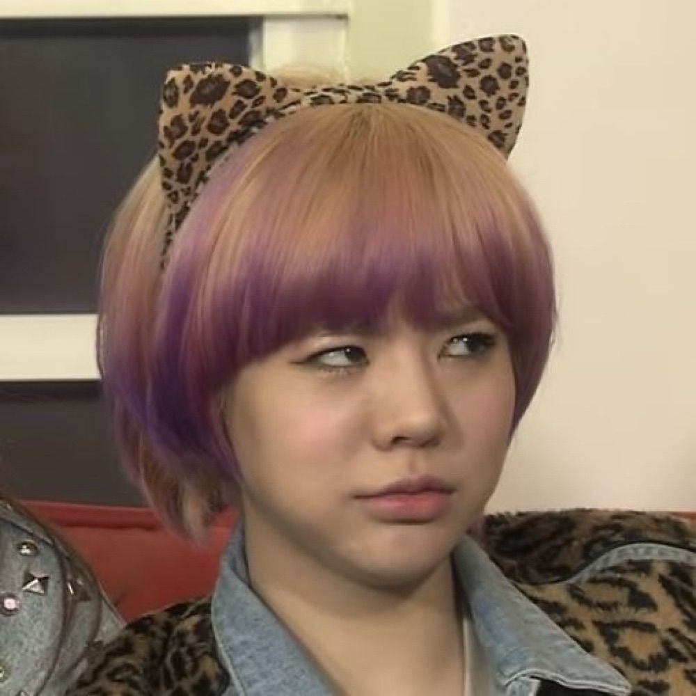 acervo da Sunny