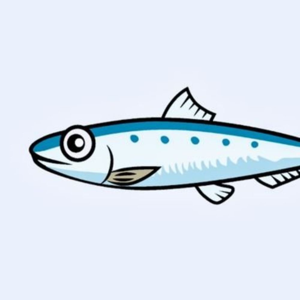 Elderly Sardine