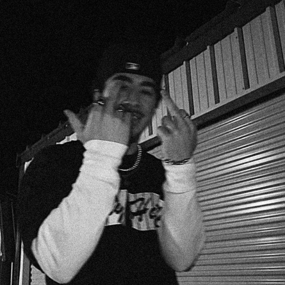 ty wild