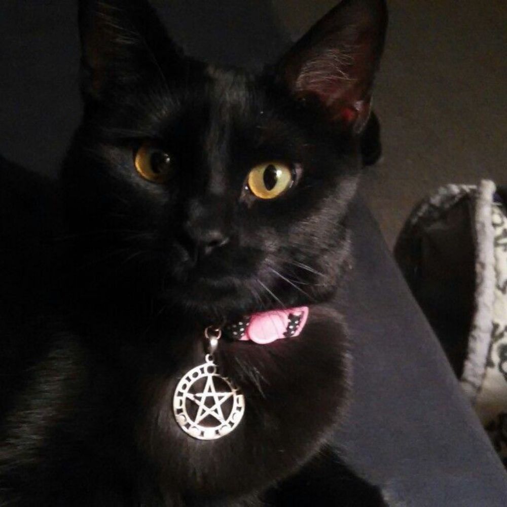 killa