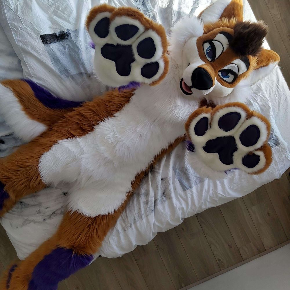 Crash_TheWolf