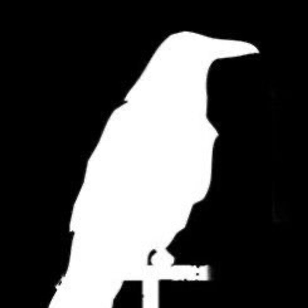 White Raven Studios 
