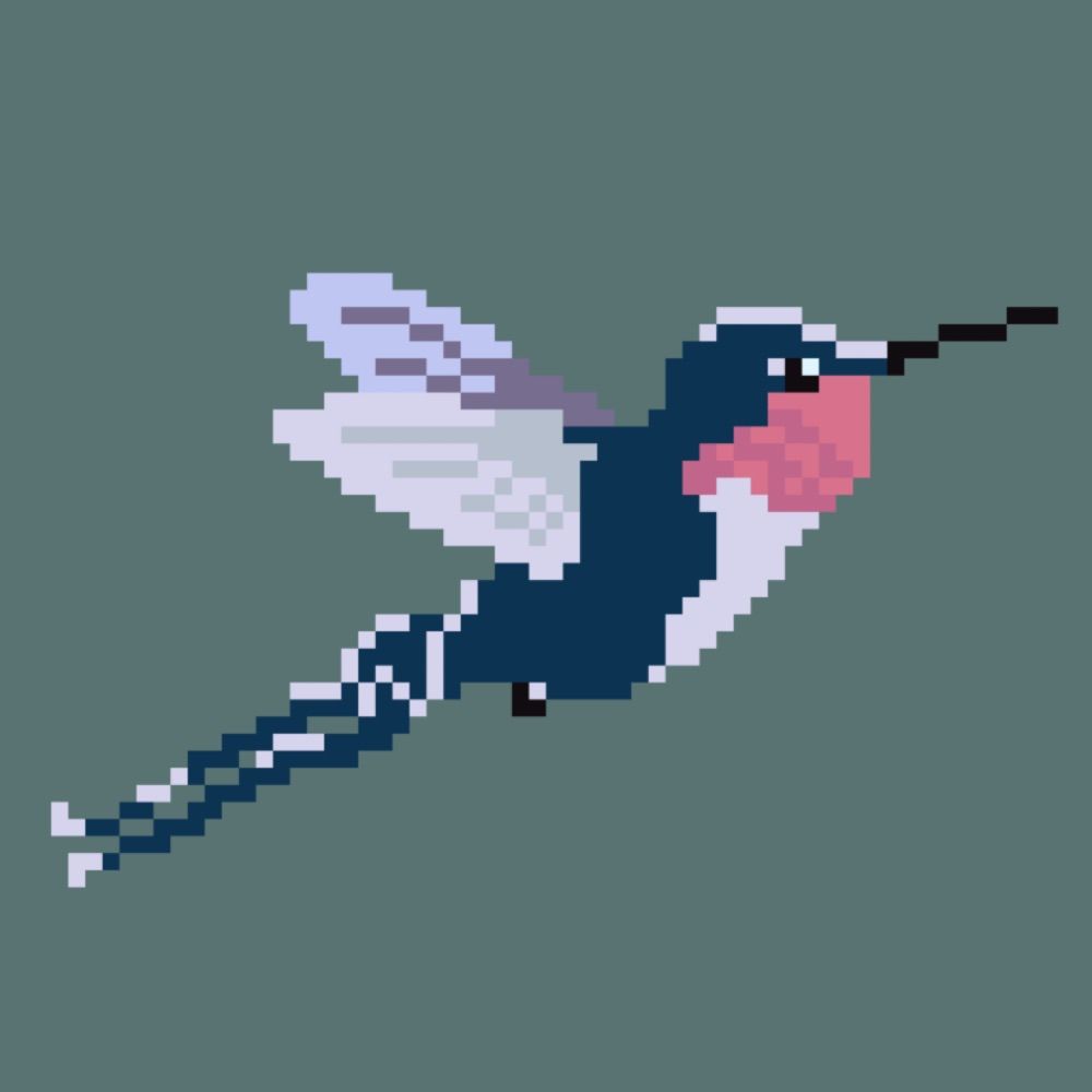 Dragontail Hummingbird