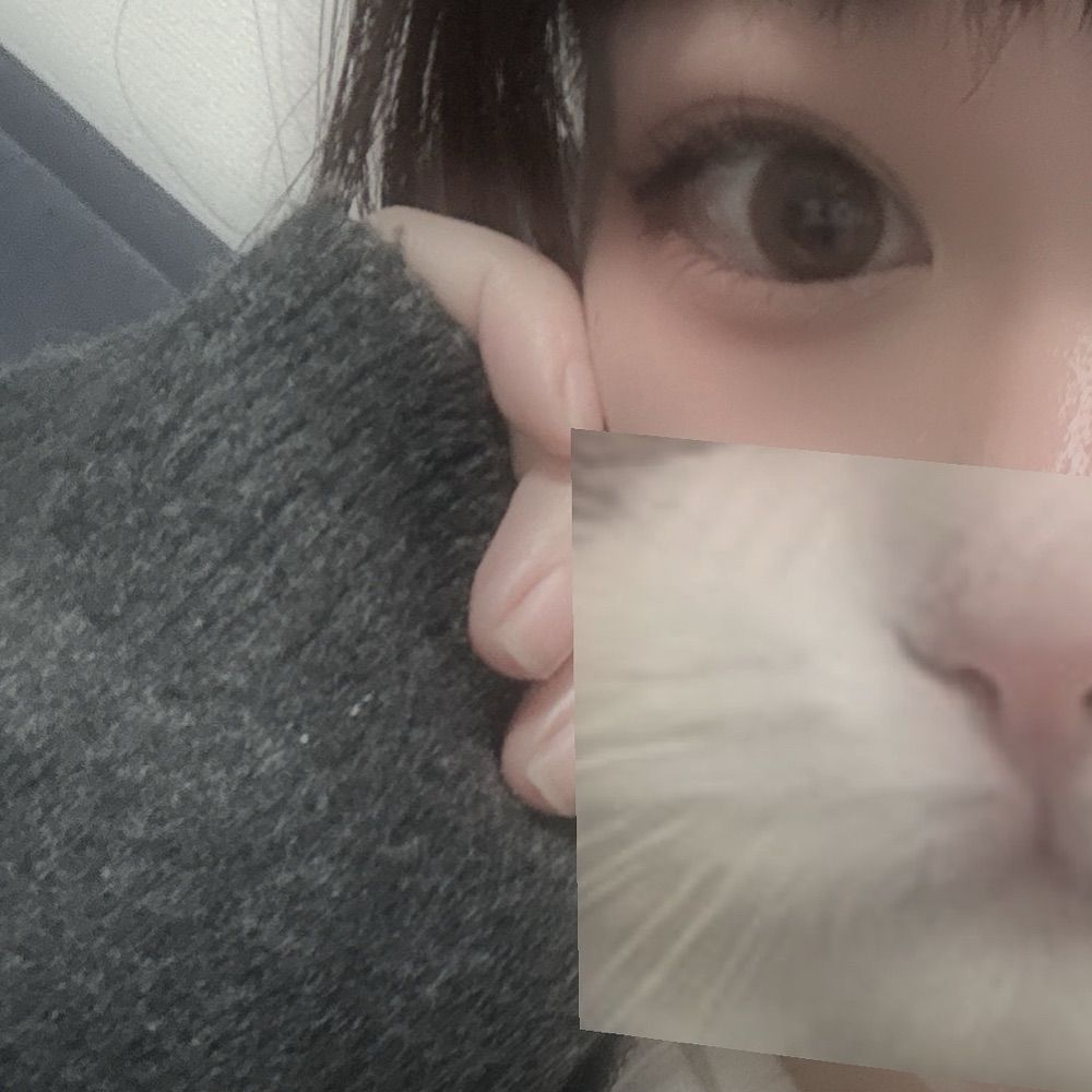 まくら