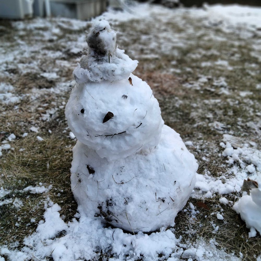 どじょう