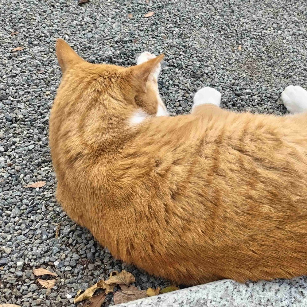 ◯