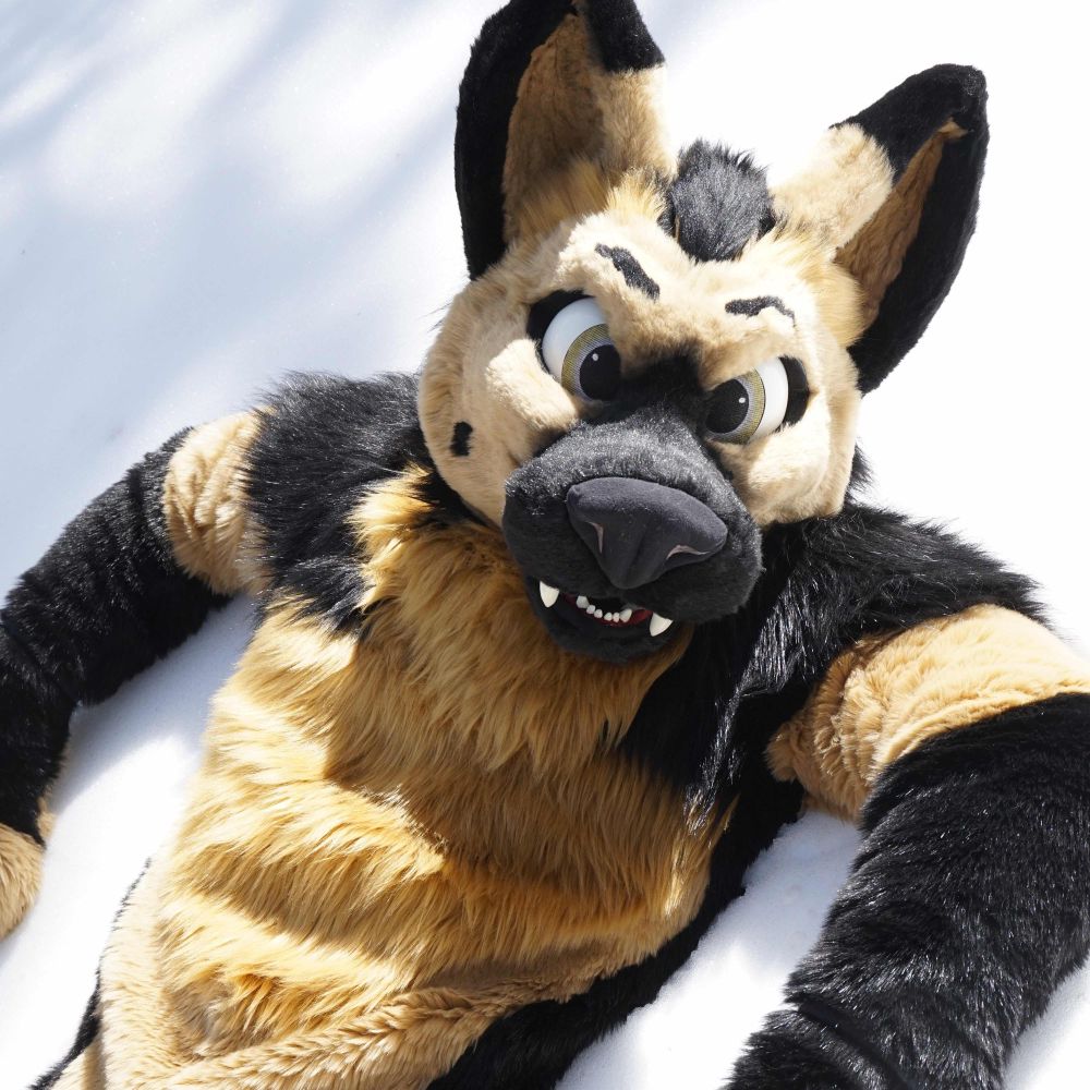 Rhems Shep
