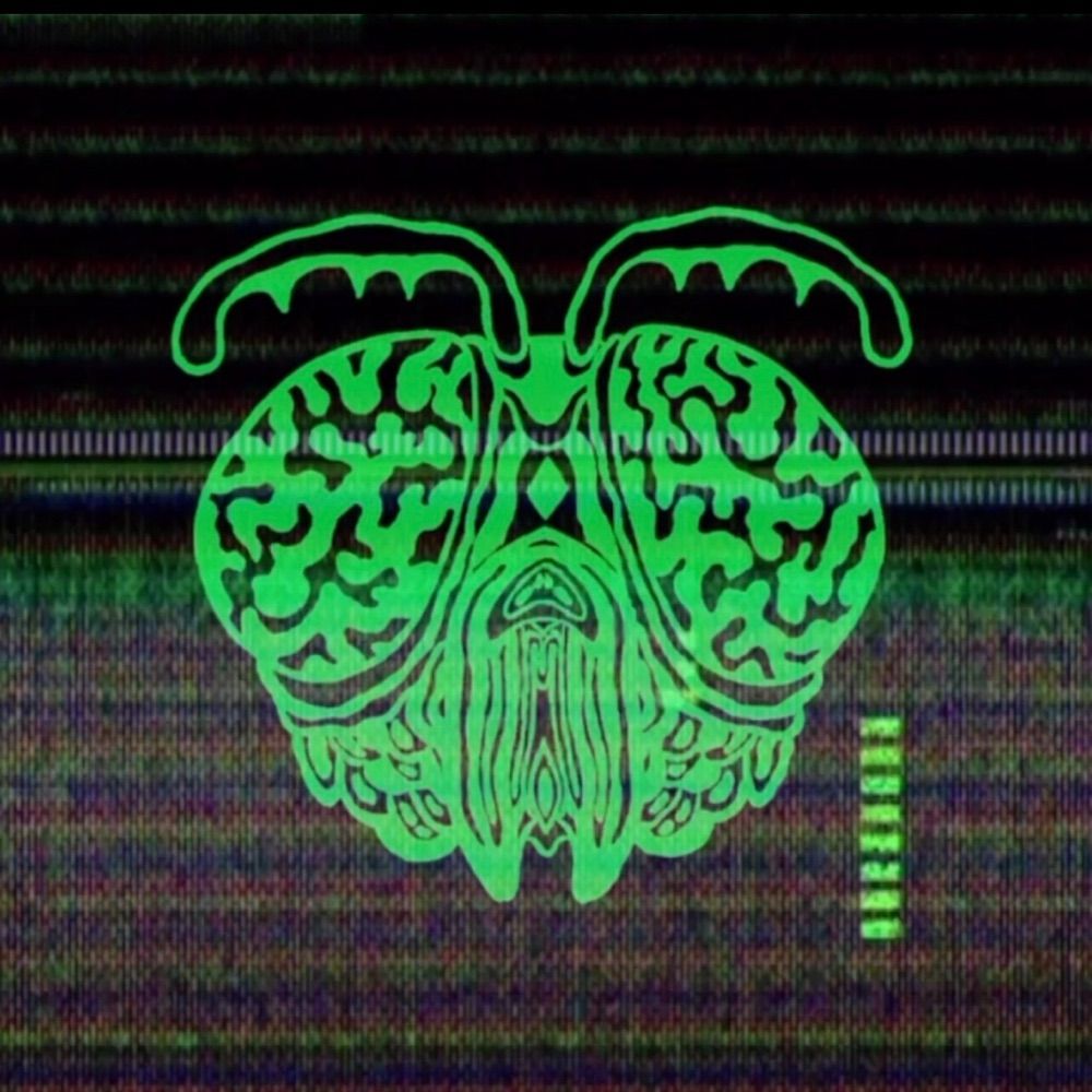 Gadfly