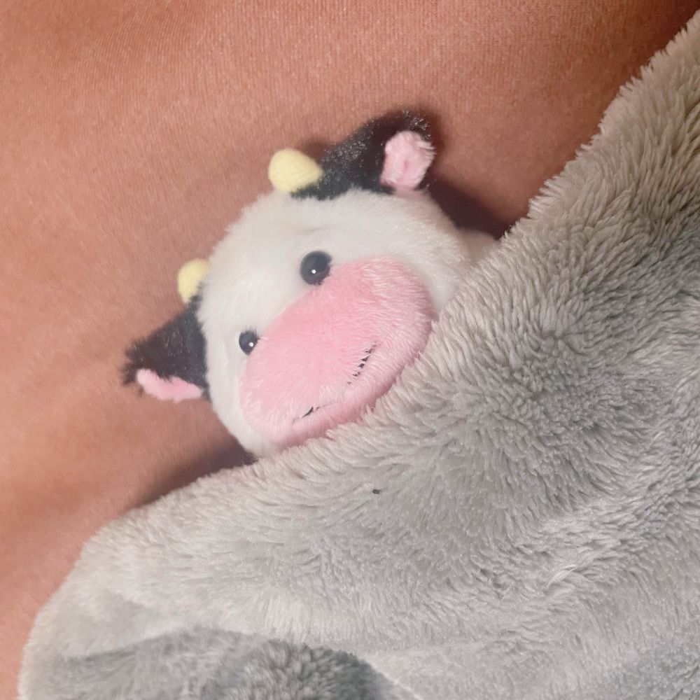 けいみー