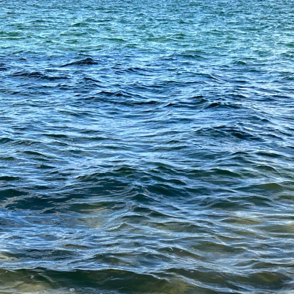 きよ