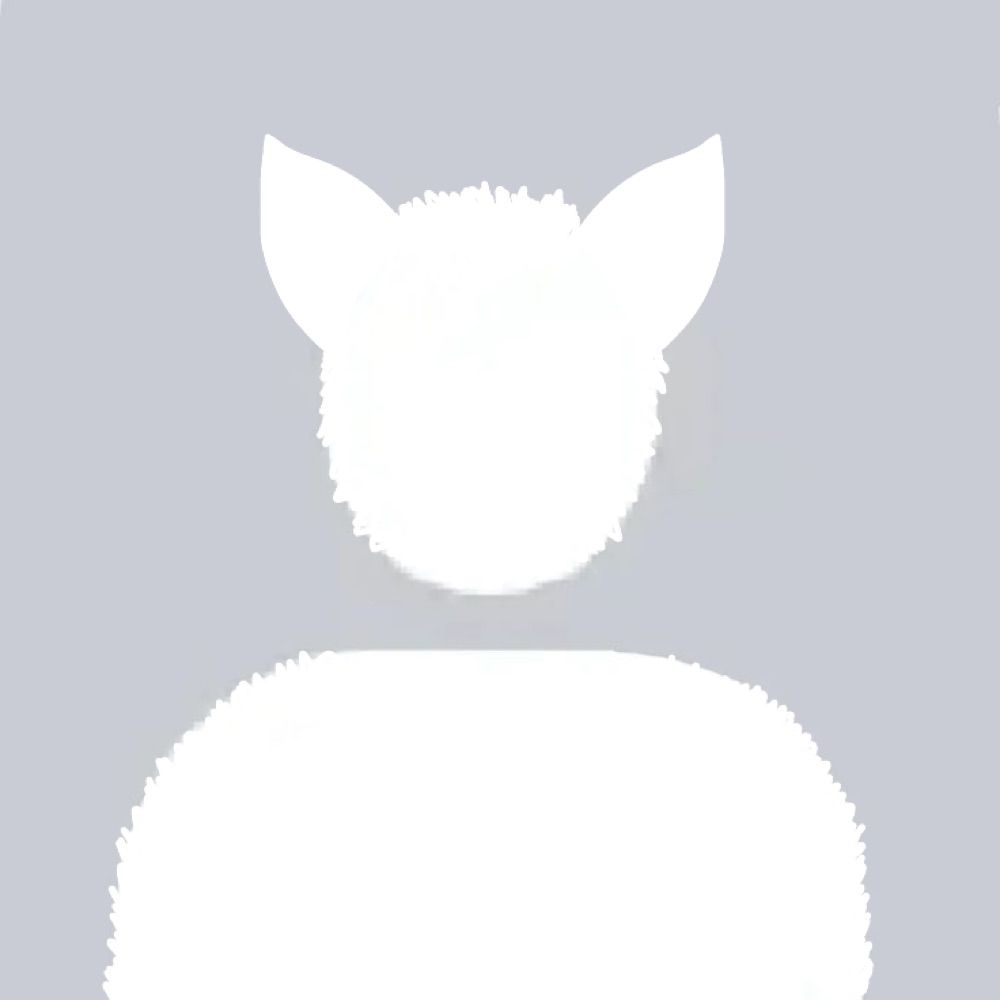 Cobalt Coyote