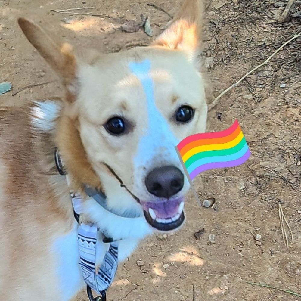 용우🏳️‍🌈