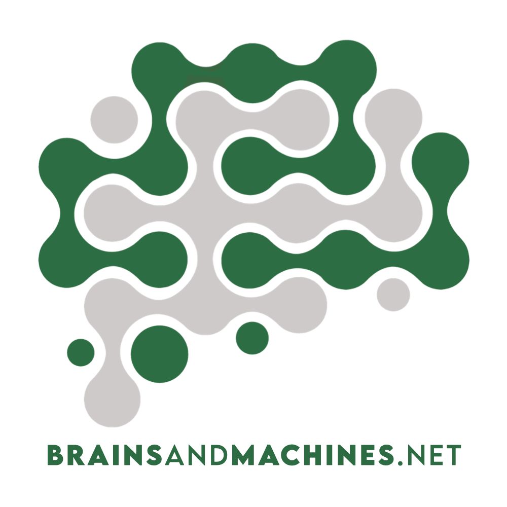 Brains and Machines