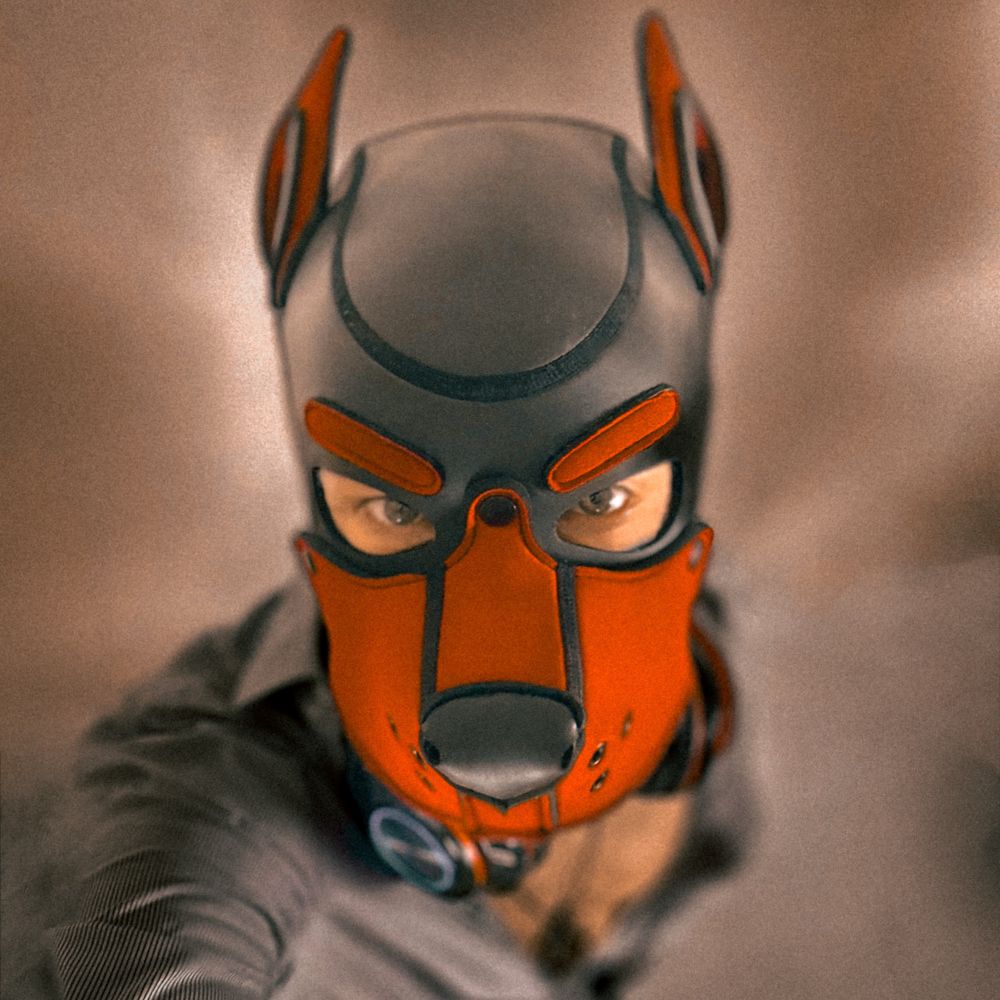 Andre Dox