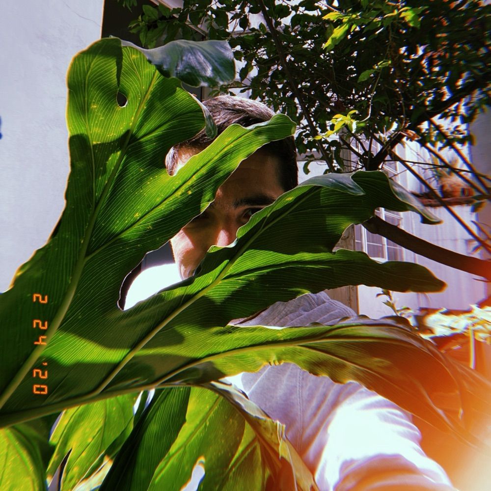 Julien