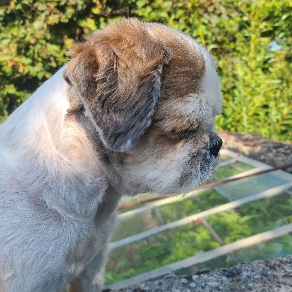 Aéla la grosse handifolle aux pets à la framboise