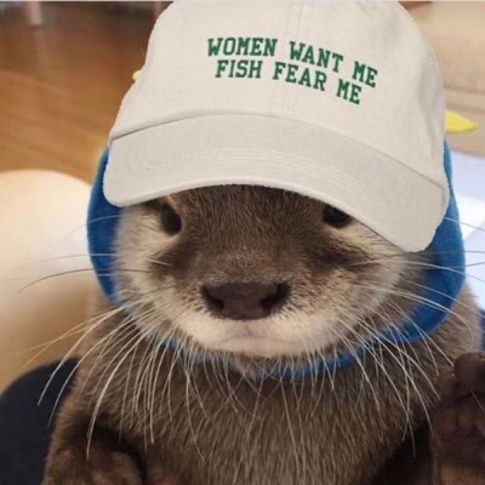 Otter