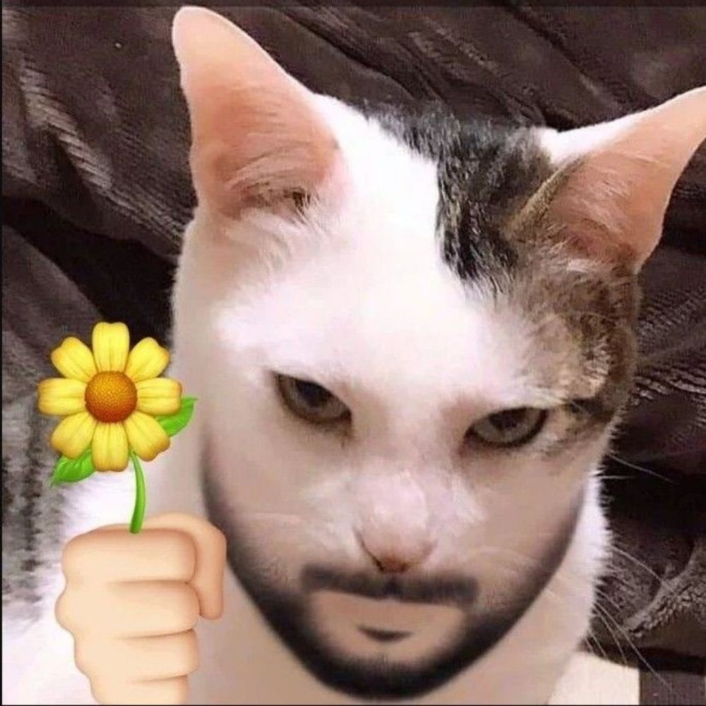 Kakaw ☆